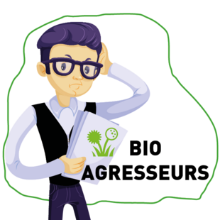 BIOAGRESSEURS : 📷 épisode 6 de la web série qui va vous aider à comprendre quels sont les leviers de lutte contre le Raygrass, plante hôte de l’ergot.
Tous les épisodes sur 📷aude.chambre-agriculture.fr/.../bioagre...…
#ergot #raygrass #grandescultures #agriculturedurale #bioagresseur