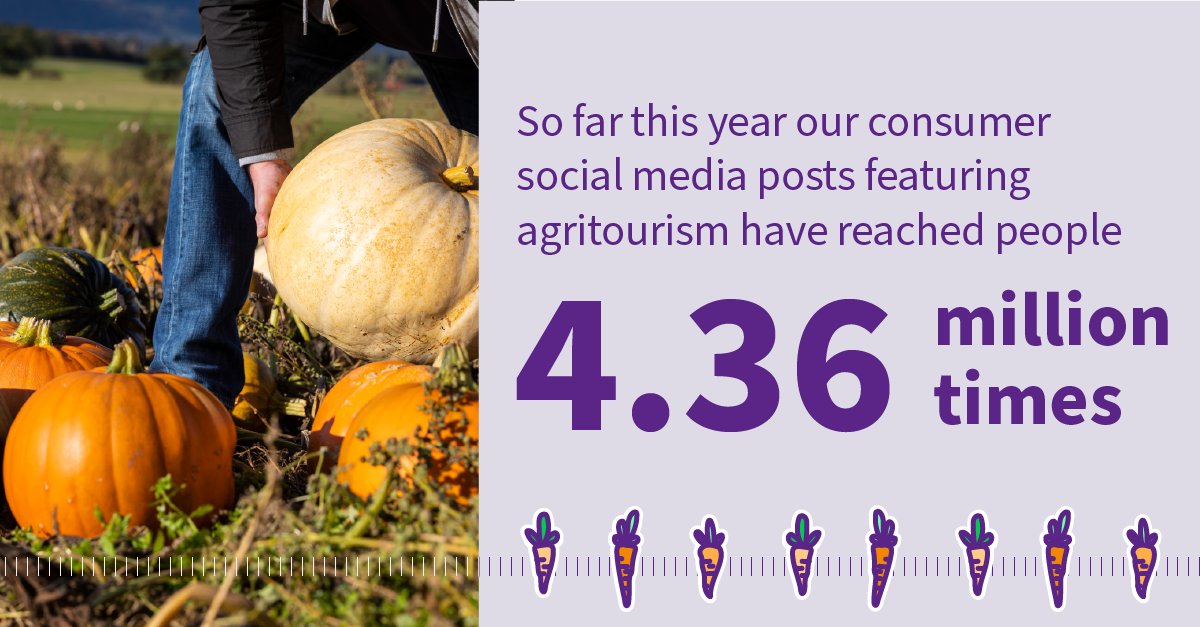 More than a fifth of holidaymakers visit a farm shop or farmers’ market during a trip of Scotland, new figures have revealed 👇

toolkit.visitscotland.org/asset-page/560…