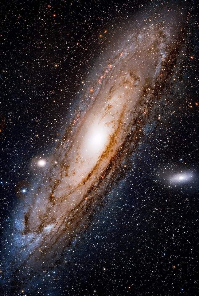 The Andromeda galaxy - captured with an 11 inch telescope from the desert. 📸: David Dayag