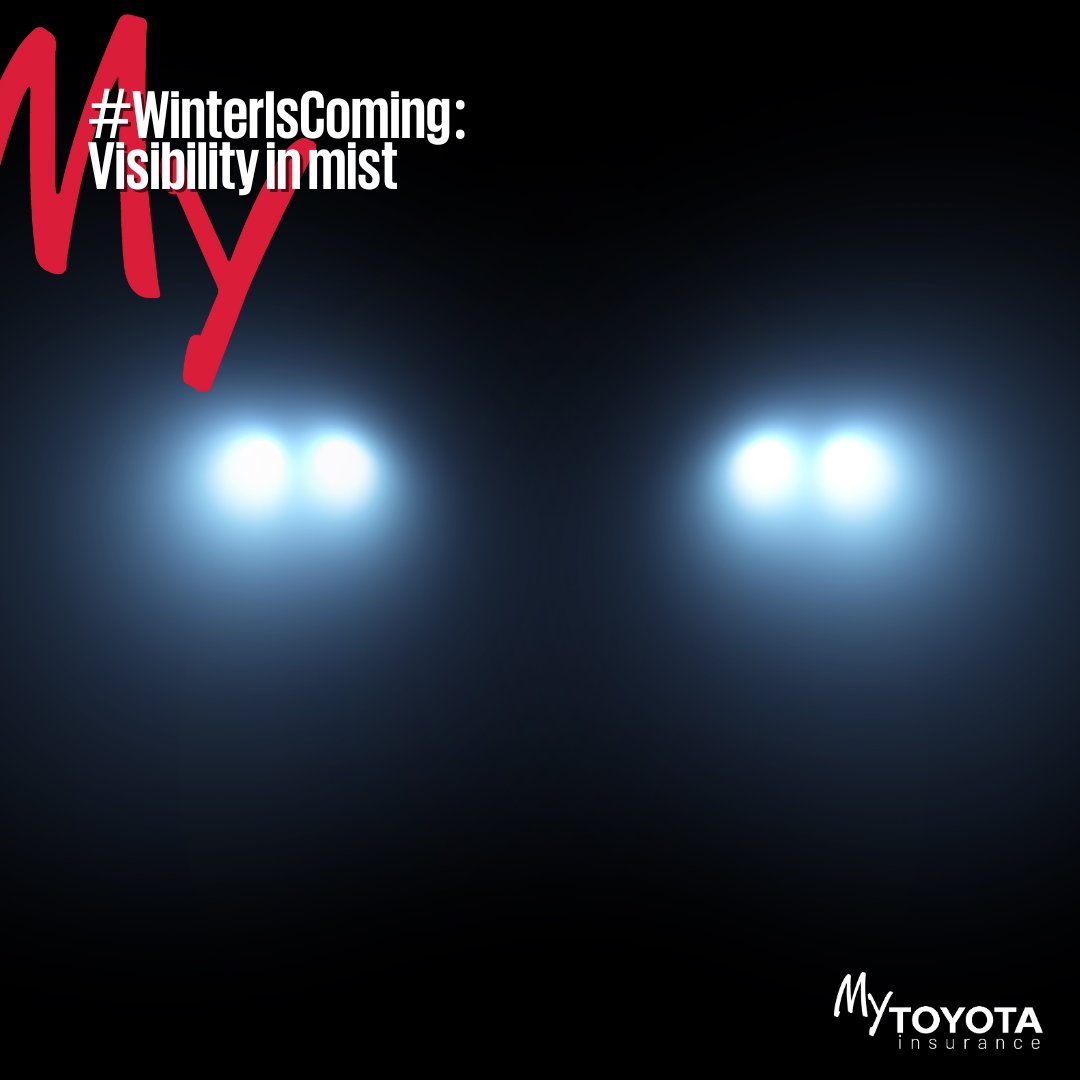 Winter is coming… ☔️ #DrivingTip: ​ In foggy or misty conditions, avoid using high beams or 'brights' as they can reflect off the mist, further reducing your visibility. Instead, switch on your headlights and keep them on low beam. ​ #MyToyotaInsurance #InsuranceYouCanTrust