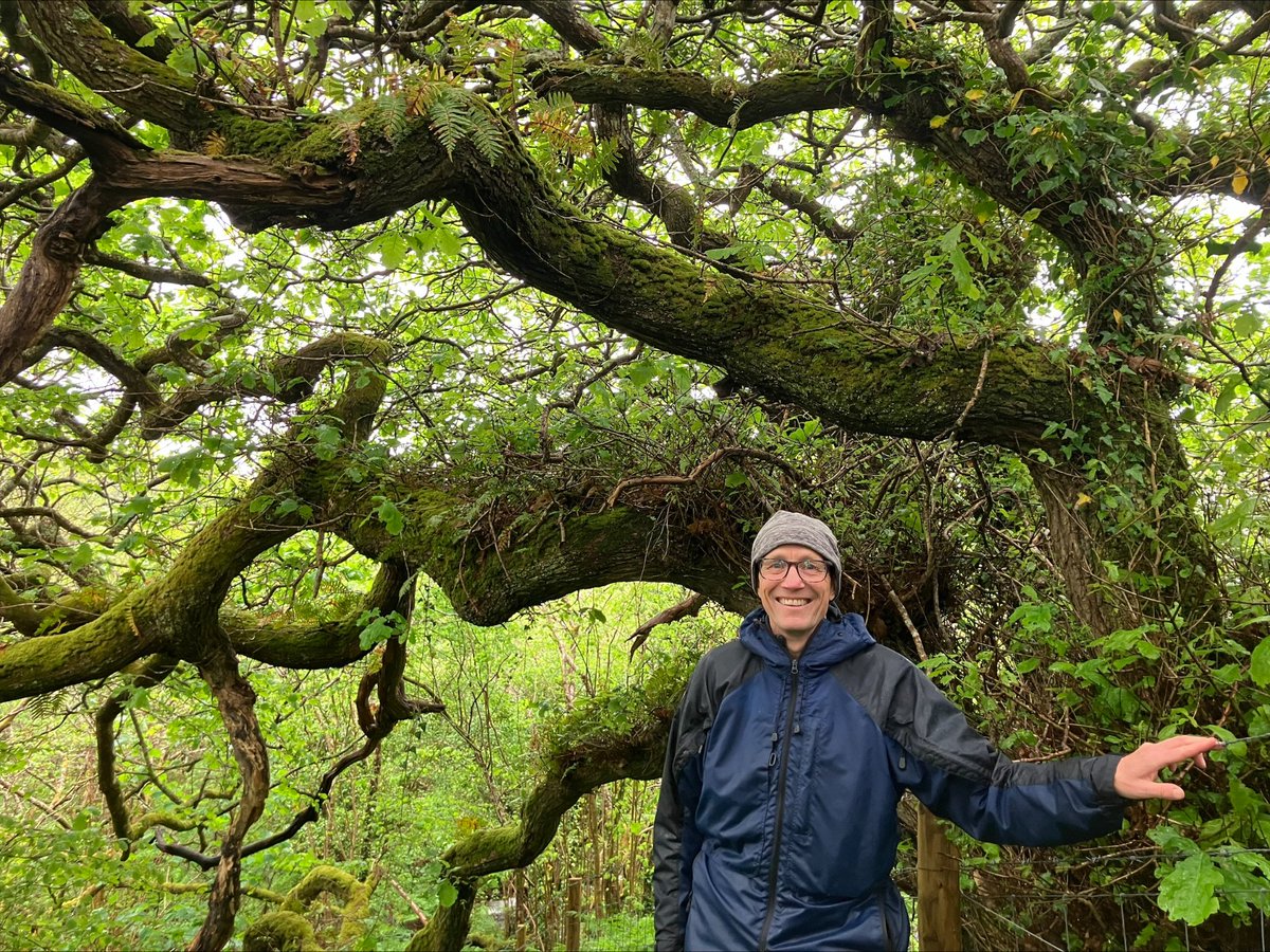 Today is Love a tree day the perfect day to hug or plant a tree. Discover some of our magnificent trees on the Stackpole estate. plan your visit here bit.ly/3nceMsc