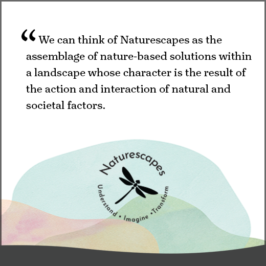 The Naturescapes project is developing our foundations for conducting case study research and our plans for dissemination, impact, communication and exploitation. Check our our emerging website naturescapes-project.com and social media presence to follow our developments.