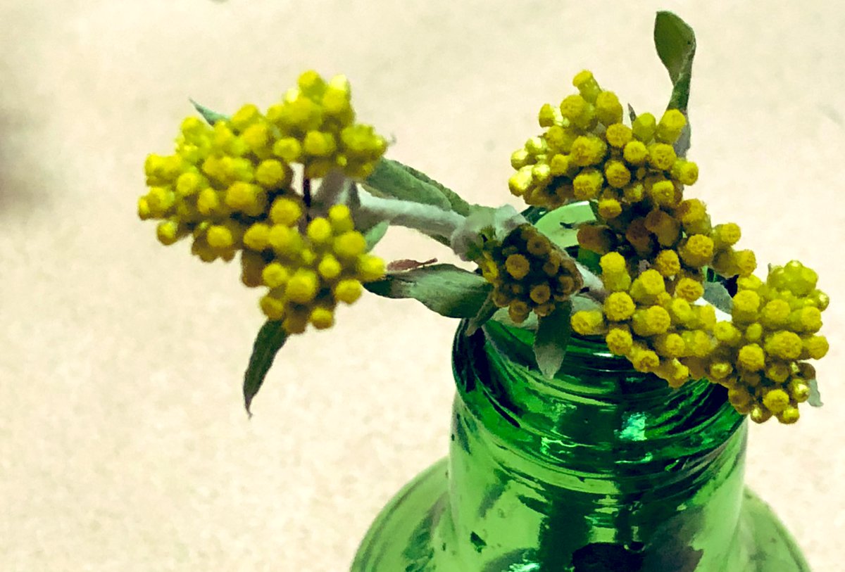 希少！◆中村彰宏◆【朝の散歩\