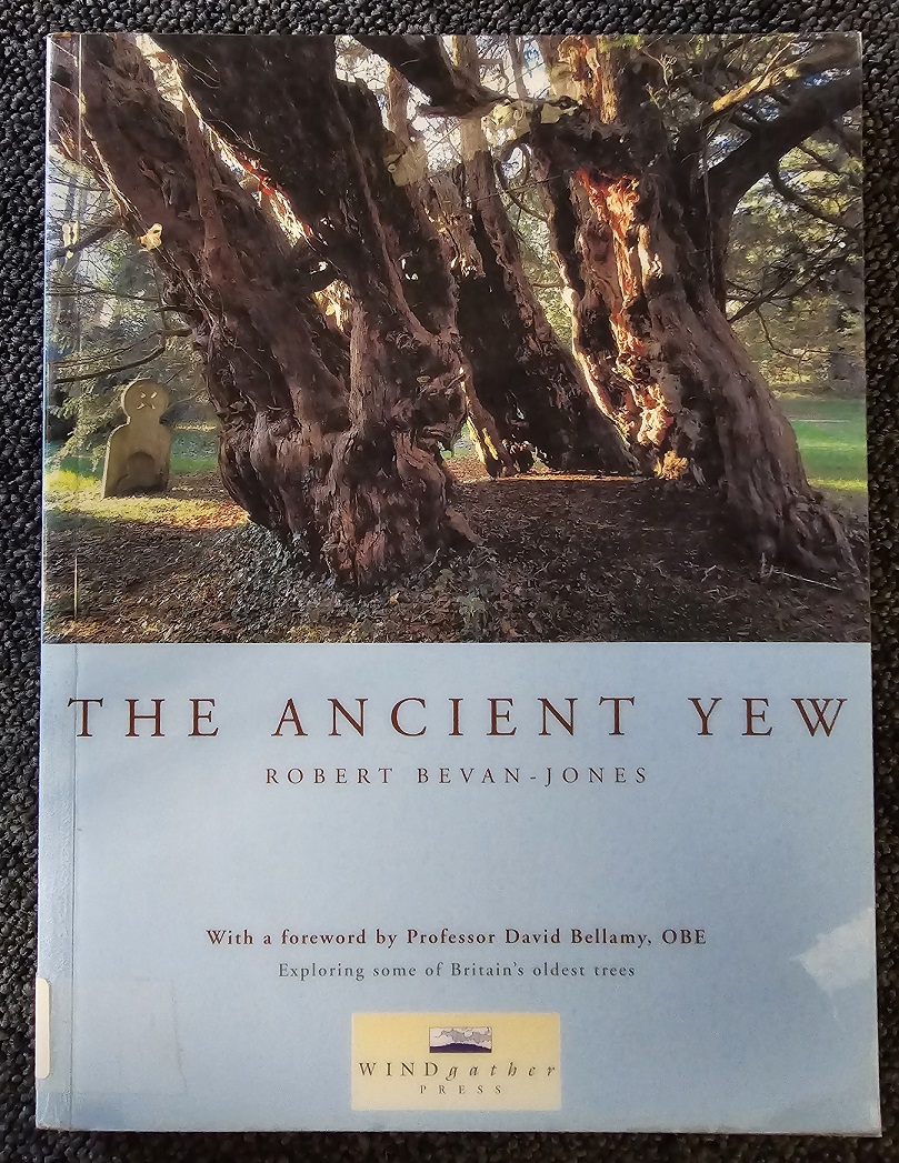 #LocalStudies celebrates #LoveATreeDay with ‘The Ancient Yew’ by Robert Bevan-Jones: a tree which provides a living botanical link between our own landscapes and those of the distant past. The book includes a yew in Darley Dale.