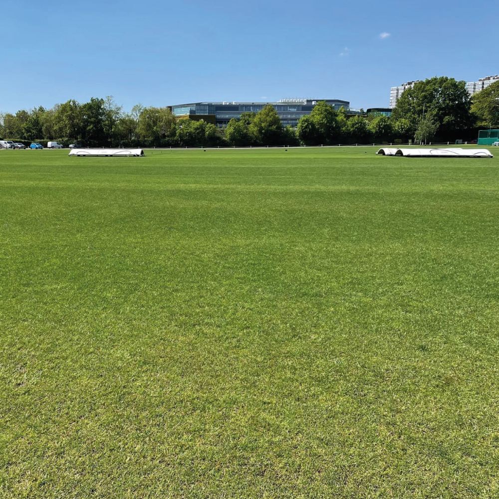 Asset Gold and Titanium have been used to great effect on this cricket outfield for stress relief and additional colour. Head groundsman, Paul, is very happy with the colour and sward density. Discover more: indigrow.com/product-catego… #growththroughinnovation #greenkeeping #turf