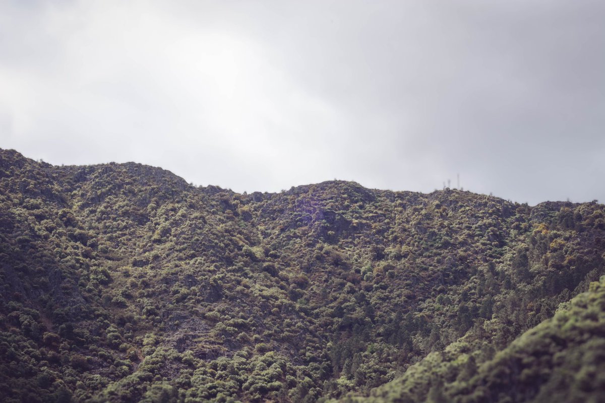 Cuando remontas el río Malvellido y crees que el mundo se acaba, como en una suerte jurdana de “finis terrae “. #elgasco #nuñomoral #caceres