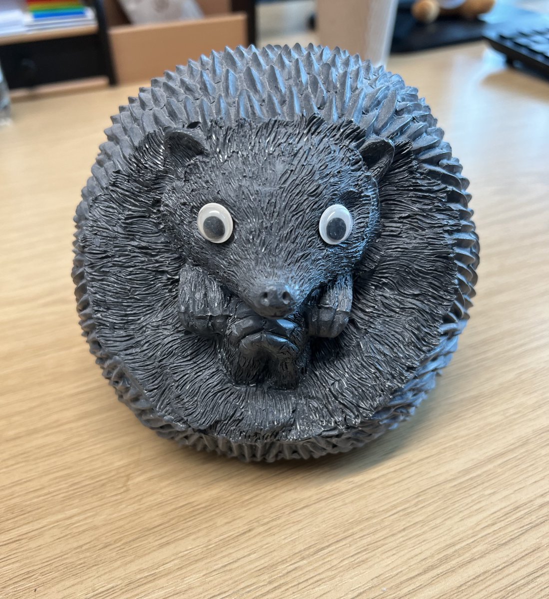 I am not responsible for the googly eyes on the office hedgehog, officer.