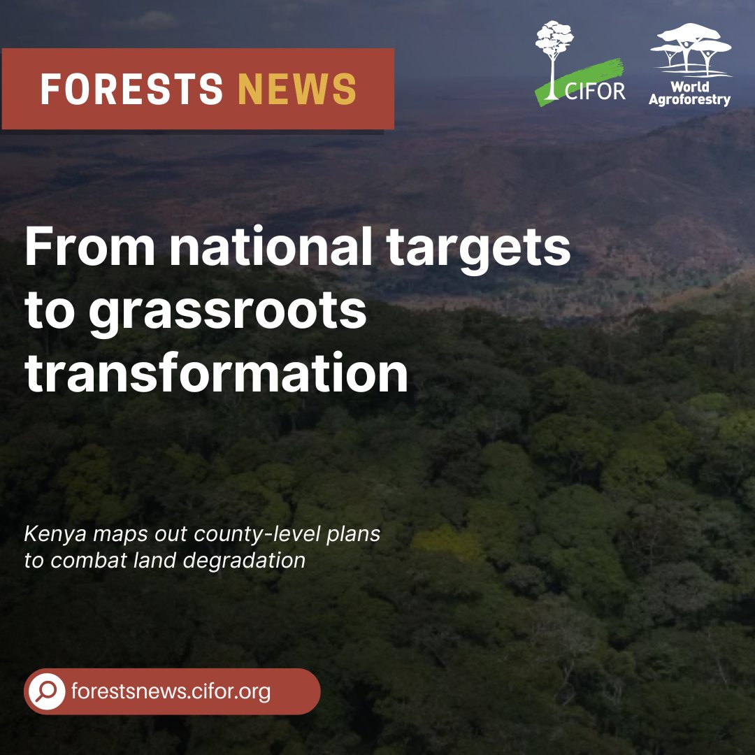 The newly developed FOLAREP guides landscape restoration in Kenya and provides a framework to operationalize restoration interventions, including the national programme for accelerated #forestry and rangeland restoration.

Full story: bit.ly/3wEJbUQ
#Trees4Resilience