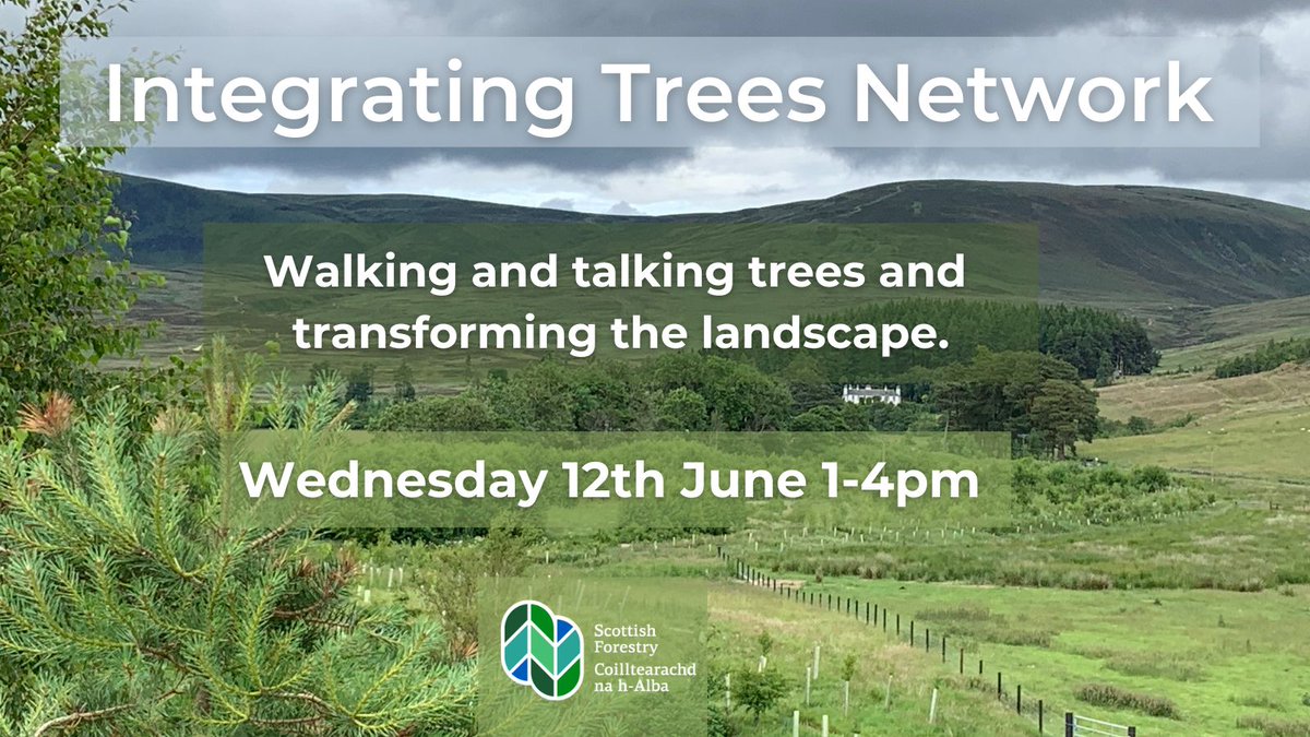 🌳 Integrating Trees Network Event🌳 Free Walking & Talking trees and transforming the landscape event with @DeeWardRottal at the Rottal Estate. Contour & riparian planting, natural regen & restoring wetlands all explained. Wed 12th June 1-4pm ▶️tickettailor.com/events/integra…