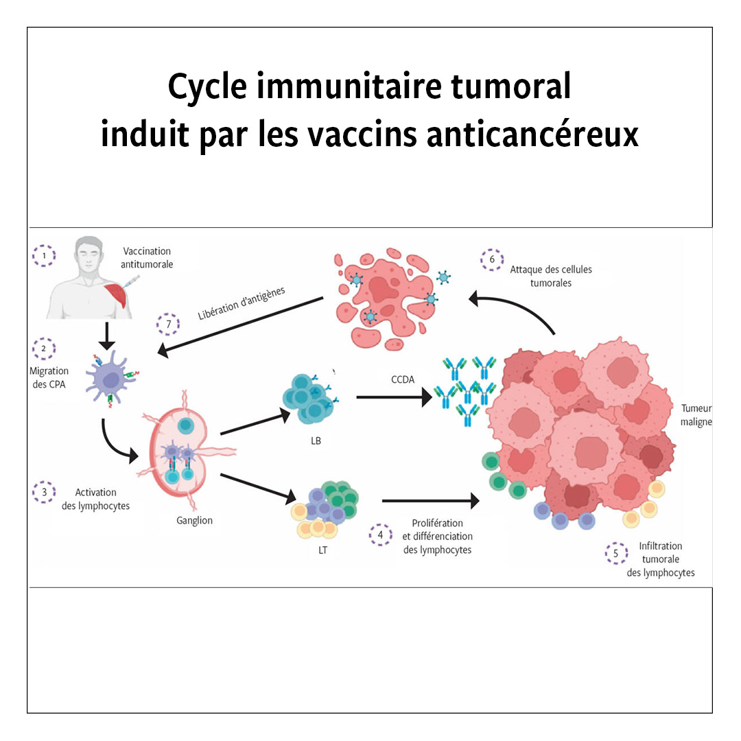 Depuis plus d’une décennie, l’immunothérapie améliore le traitement et le pronostic des patients atteints de cancer.
L'article 'Vaccins thérapeutiques anticancéreux : défis et perspectives' est à lire dans notre dernier numéro : revmed.ch/revue-medicale…
@Assma2018 @HiMechahougui