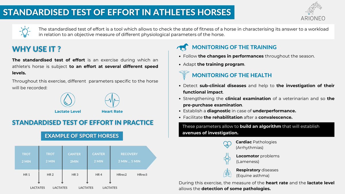 Horses need to be physically and mentally ready before a major sporting event. 💥 Read the full article: vet.arioneo.com/en/blog/standa… 📈 #Arioneo #Equimetre #Veterinary #HorseDataScience