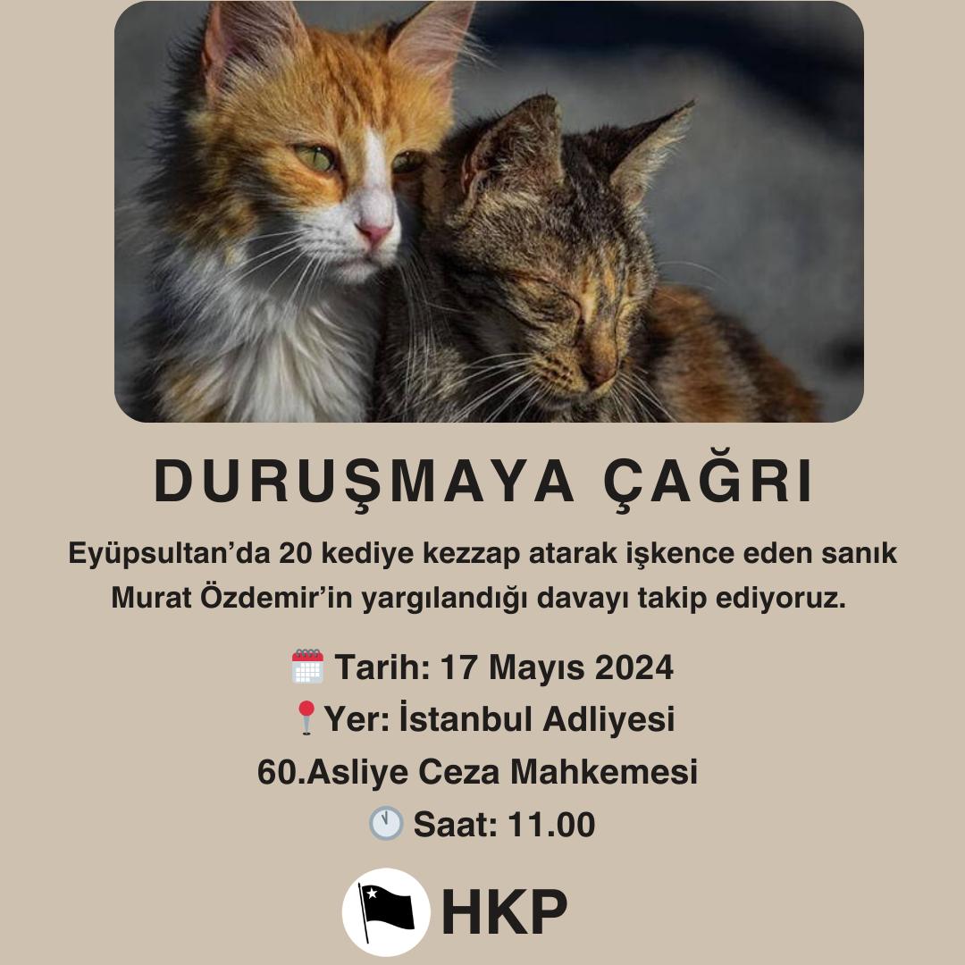 Eyüpsultan'da 20 kediye kezzap atarak katleden hayvan düşmanı Murat Özdemir'in yargılandığı davayı takip ediyoruz.
