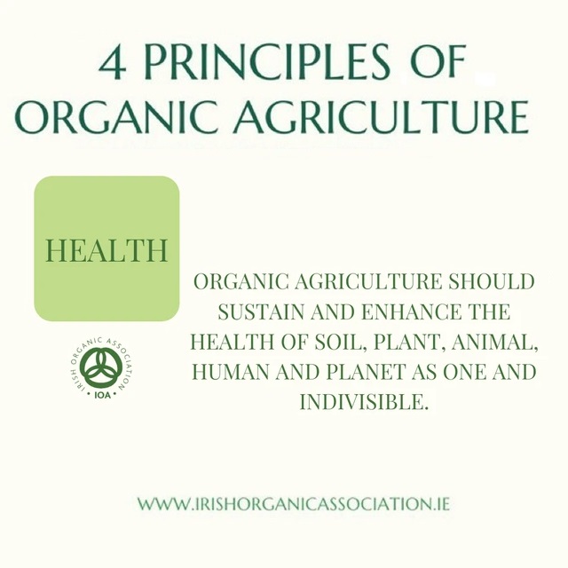 HEALTH 👉🏼 One of the 4 Principles of Organic Farming⁠
⁠
Organic agriculture should sustain and enhance the health of soil, plant, animal, human and planet as one and indivisible.⁠
⁠
YES 🙌🏼⁠
⁠
#demandorganic #organic4everyone