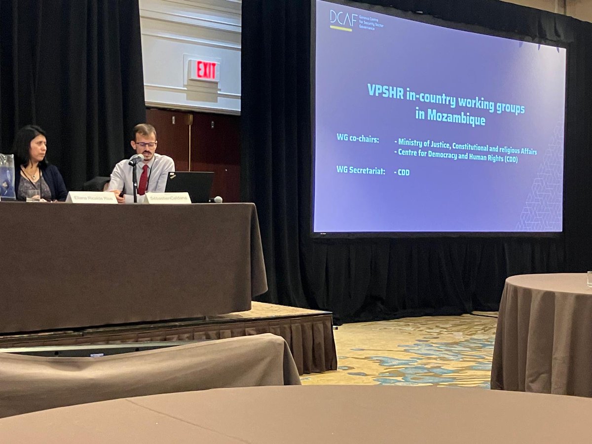 DCAF is in Washington DC at the Annual Plenary Meeting of the @VPSHR this week! Thanks to 🇺🇸 for hosting this opportunity to come together & discuss how to better implement responsible security management & #humanrights due diligence through the lens of the Voluntary Principles.