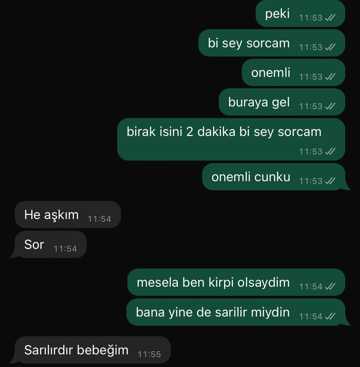 benim darlama sekli