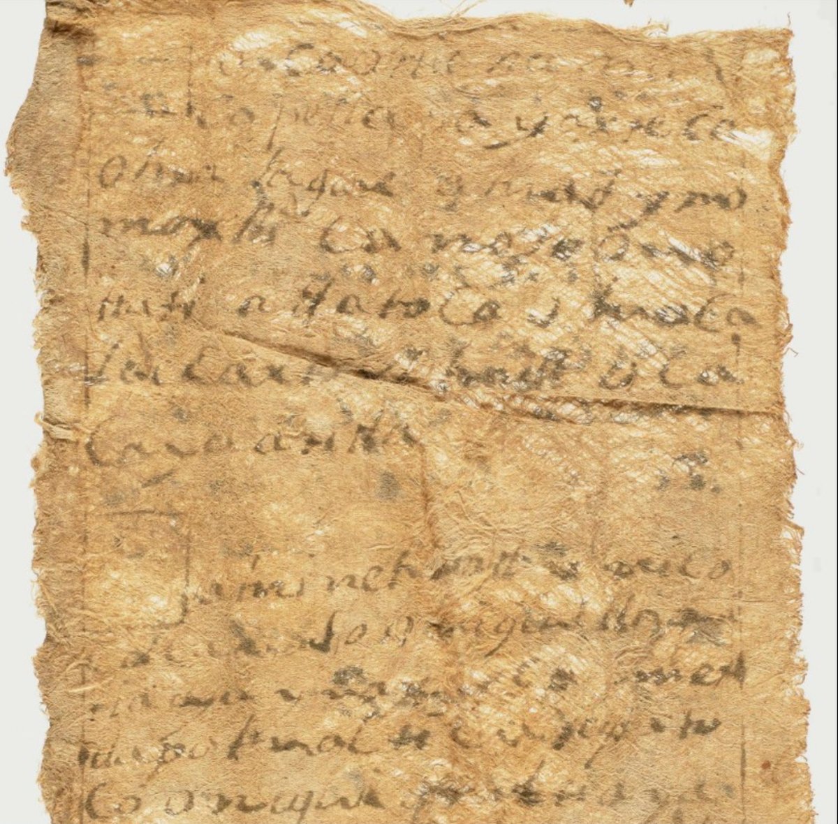 John Rylands Research Institute and Library tweet media