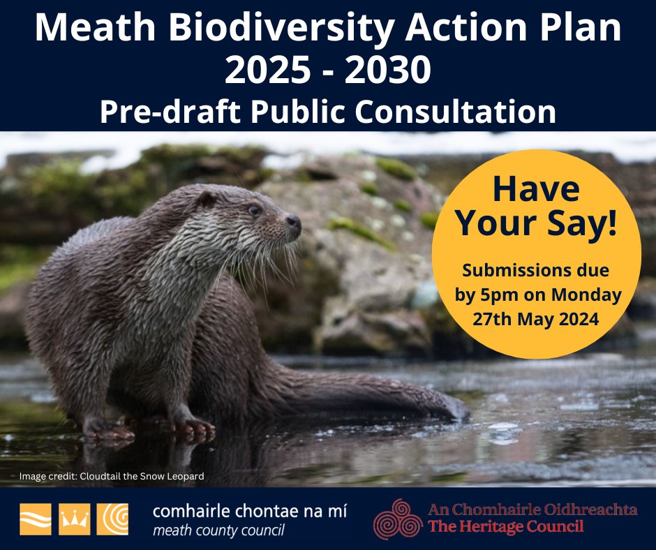 How much does County Meath’s nature mean to you and what actions would you like to see in the next Meath Biodiversity Action Plan? #HaveYourSay Submission due by 5pm on Monday 27th May. Further info at: bit.ly/MCC-Biodiversi… @HeritageHubIRE @DeptHousingIRL @NPWSIreland