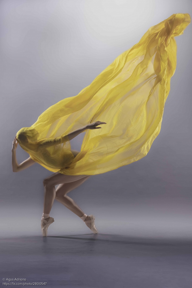 'Mystery' by Agus Adriana 1x.com/photo/2800547/… #dance #woman #veiled #mystery #fineartphotography