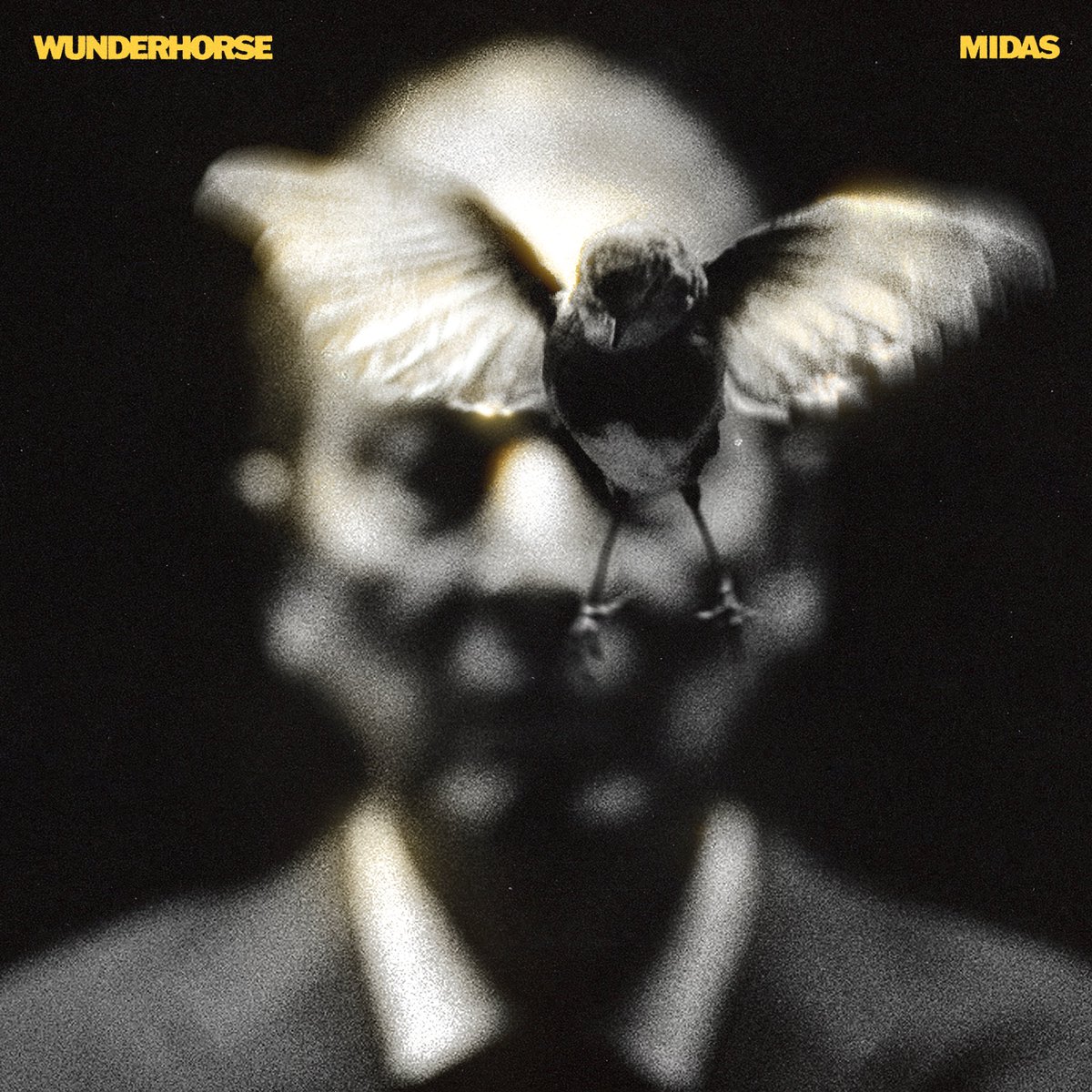 Midas. The new album. 30 August 2024. We hope you love it. WH x Pre-order the album at wunderhorseband.com for pre-sale access to our upcoming tour.