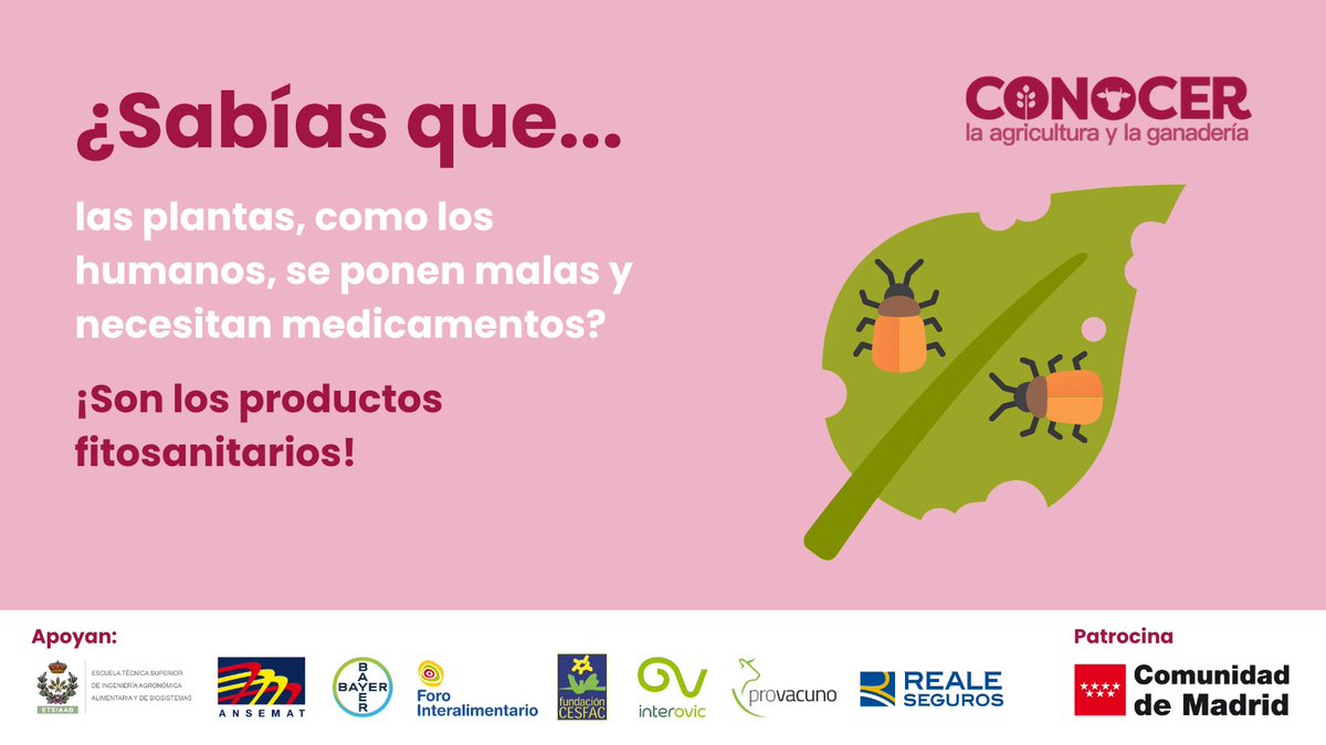 ¿Qué hacemos cuando nos enfermamos? Acudimos al médico, ¿verdad? 🩺

Las #plantas también pueden enfermarse. Cuando sucede, los #agricultores recurren a los #fitosanitarios, que son las medicinas para las plantas. 🚜💦🌿

¡Lo estamos viendo en #MadridAulaAgraria2024! 💚