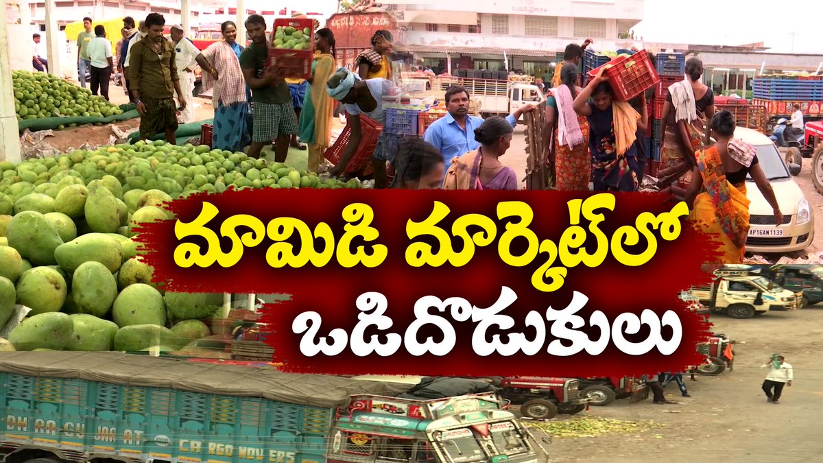 దిగుబడి లేక వెలవెలబోతున్న నున్న మామిడి మార్కెట్ | Mango Crop Yields Fallen in Nunna Mango Market youtu.be/tp5atxpuFMY