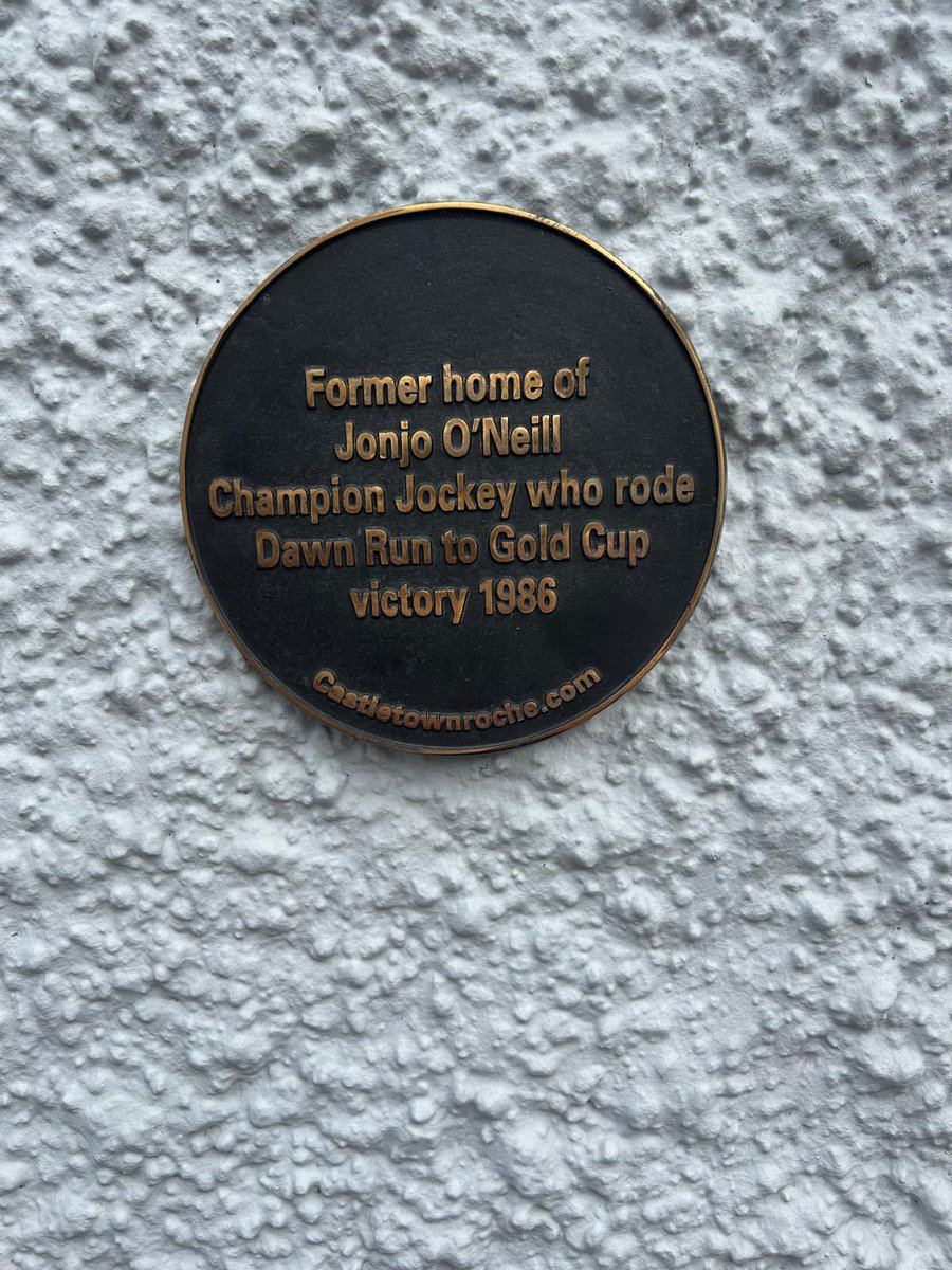 A plaque commemorating the Boss on the high street in Castletownroche, C. Cork!!! The Irish equivalent of a British blue plaque maybe… 💙 #commemoration #home #hometown #roots