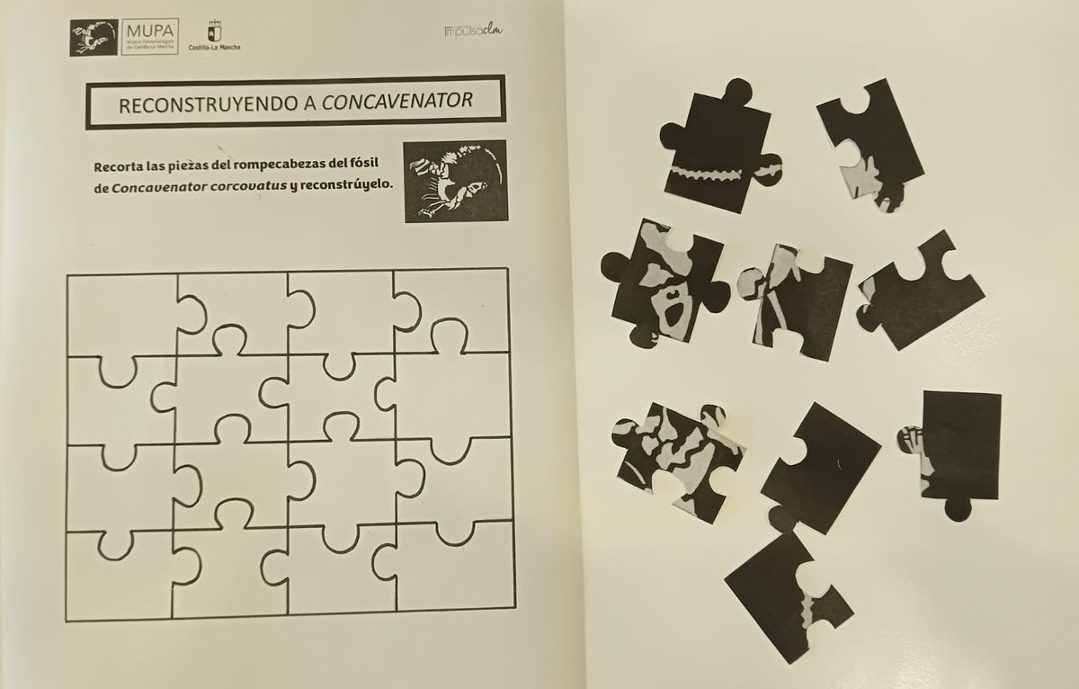 Nos ayudas a reconstruir el fósil Concavenator corcovatus❓

Si eres un experto en #dinosaurios… Es la hora de demostrarlo🙃🧩