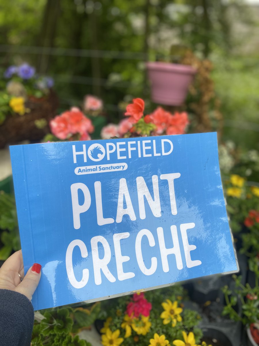 If you’re coming to the National Flower Show at Hylands House this weekend, then do look out for us as we’ll be manning the Plant Creche! We will be on hand to look after all those plant and flower purchases we know you’re going to make until you're ready to take them home.