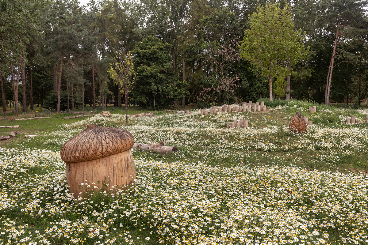 Waterbeach tweet media