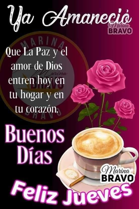 MariMerOchoa5's tweet photo. @salaprensaCantv https://t.co/UNFvQU9pCf