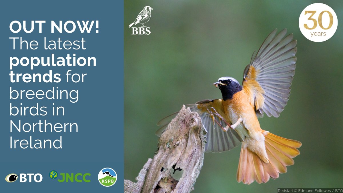 1/ The 2023 @BBS_birds Report is out now ➡️ bto.org/bbs-results 129 BBS squares were surveyed across Northern Ireland in 2023 by 82 volunteers. Over 30 years, 287 people have surveyed for BBS across 230 sites! If you were one of these volunteers, thank you very much.