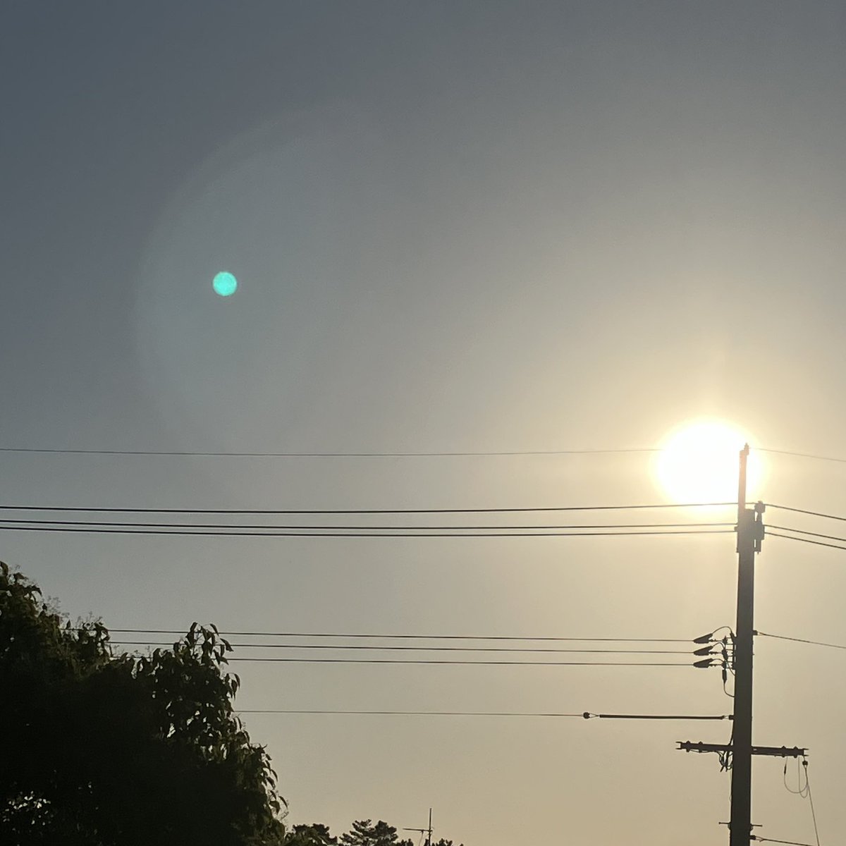 Fine Thursday evening 

#eveningsky
#夕暮れ　
#イマソラ

💟☮️