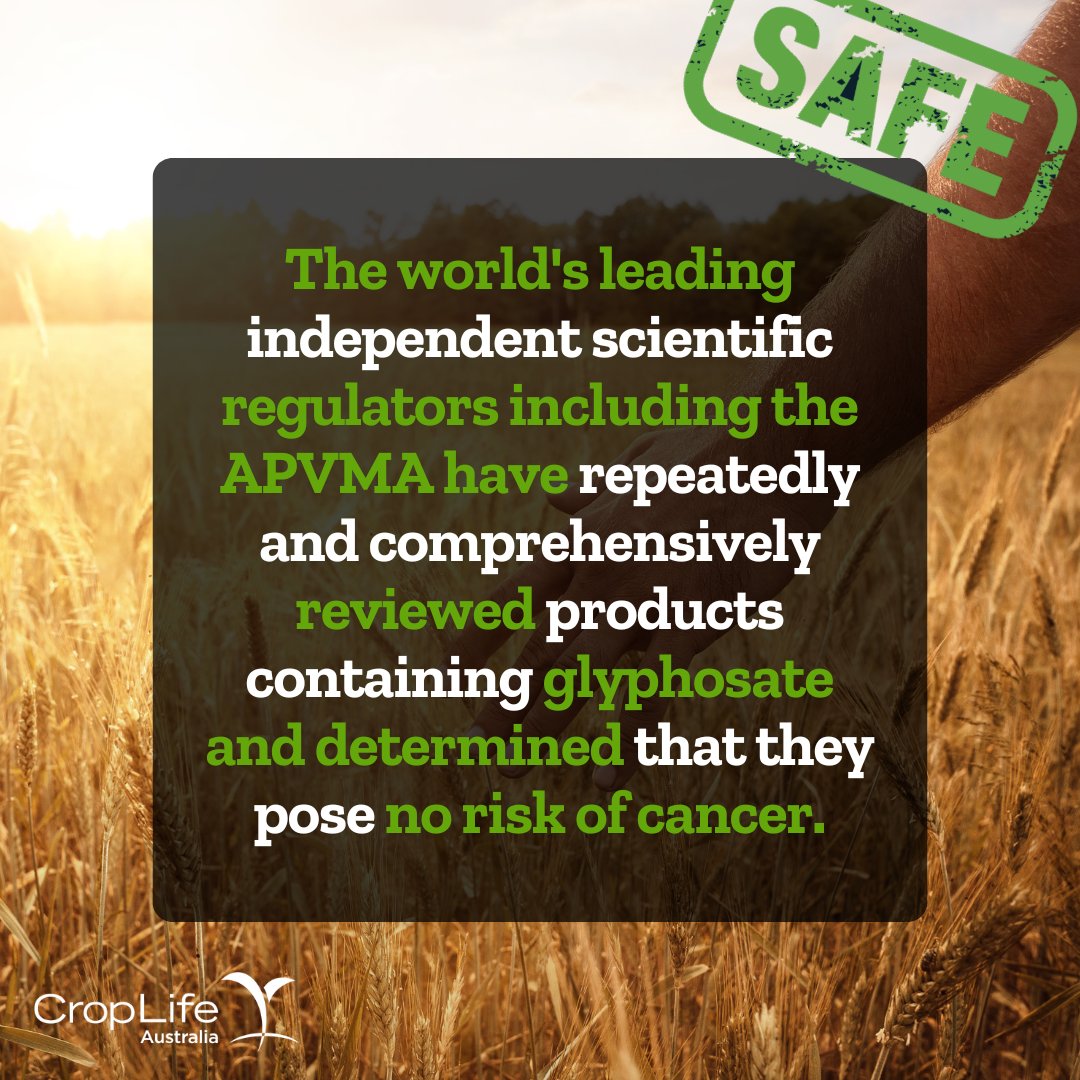 The world's leading independent scientific regulators comprehensively reviewed the international Agency for Research on Cancer (IARC) report (2015) and reaffirmed that products containing #glyphosate pose no risk of cancer. Read more: ow.ly/R7iq50Ry4oT