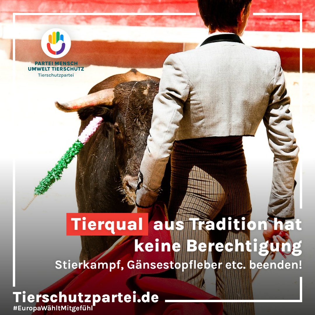 Tierqual aus Tradition hat keine Berechtigung: Stierkampf, Gänsestopfleber etc. beenden. 10.000 Stiere jährlich allein in Spanien grausam getötet! Millionen Enten und Gänse weltweit ebenso. Milliarden Frösche weltweit leiden für ihre Schenkel. #Europawahl #MitgefühlWählen