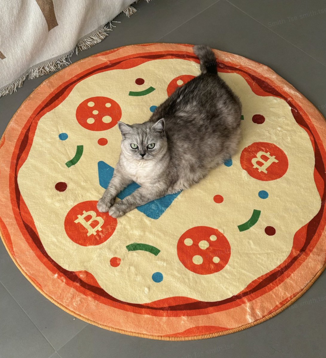 收到了谢总的地毯了，非常舒服<a href="/xiejiayinBitget/">谢家印</a> 非常感谢老板。

大家快来参加披萨节期间<a href="/Bitget_zh/">Bitget中文</a> 开放抽奖活动，赢🍕地毯、BTC、BGB 等热门币 👉 partner.bitget.fit/bg/NMJDN0