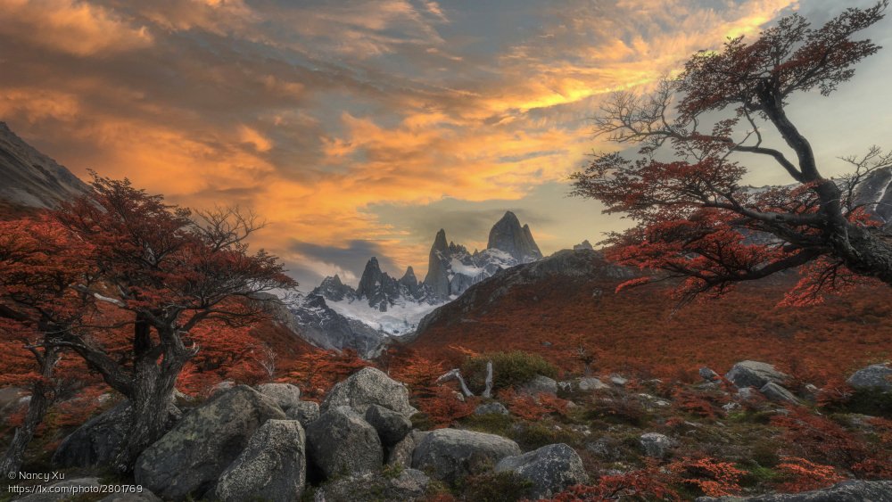 'Autumn Fitz Roy 2' by Nancy Xu 1x.com/photo/2801769/… #landscapephotography #Patagonia #mountains #autumn #trees