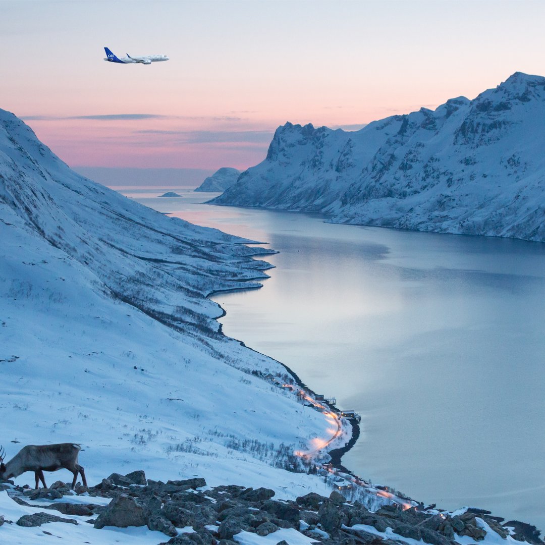 This winter season, we're expanding our services with five new direct routes to Tromsø, Kiruna, Rovaniemi and Scandinavian Mountain Airport Sälen-Trysil. ▶️ bit.ly/3yjbMzf #flysas