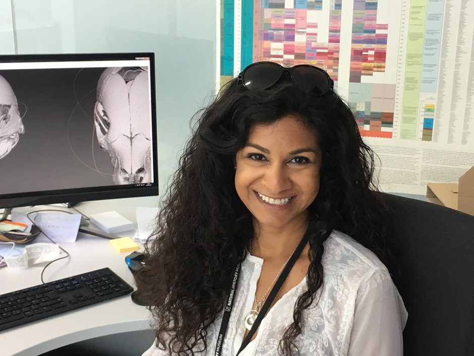 Huge congratulations to Anjali Goswami (@anjgoswami) who has been elected to the Fellowship of the @RoyalSociety. Anjali has made extraordinary contributions to the understanding of animal evolution while helping develop and inspire students. Well-earned and deserved!