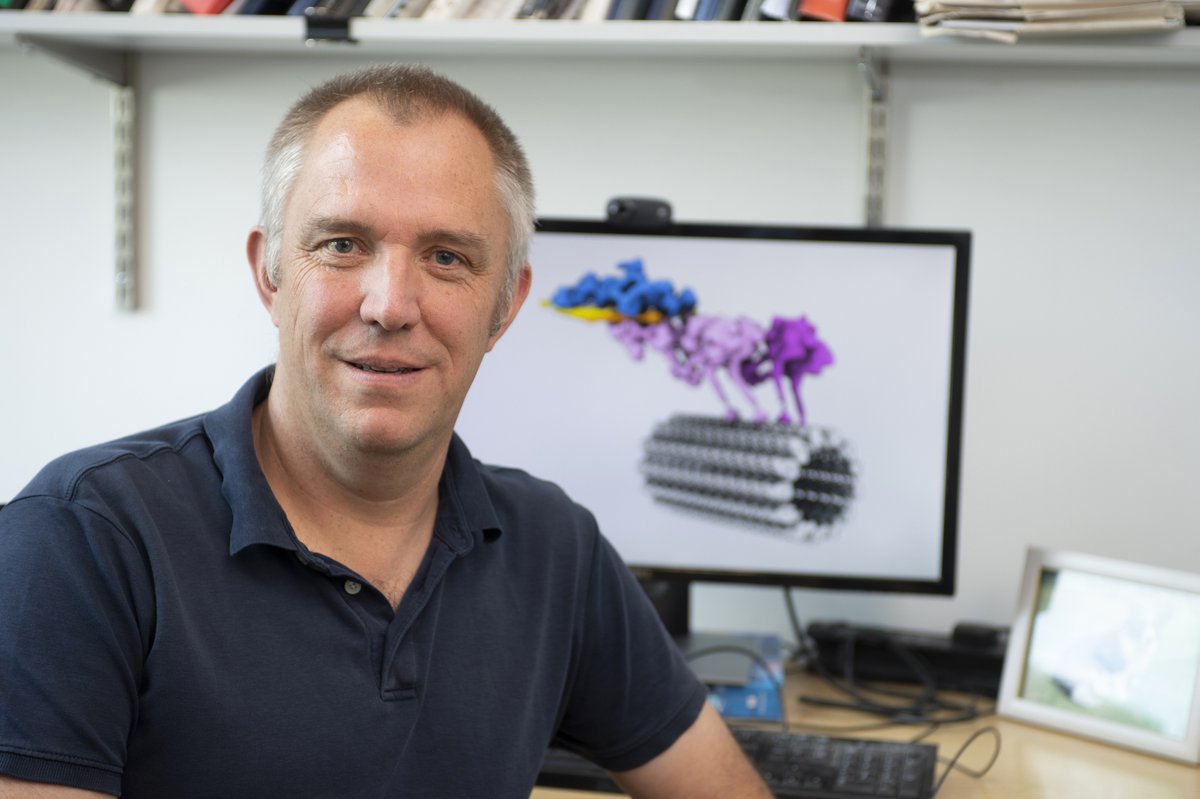 Congratulations to Andrew Carter (@Carter_lab), Group Leader in the LMB’s Structural Studies Division, who is elected Fellow of the @royalsociety. Read more here: www2.mrc-lmb.cam.ac.uk/andrew-carter-… #LMBNews #royalsociety (1/2)