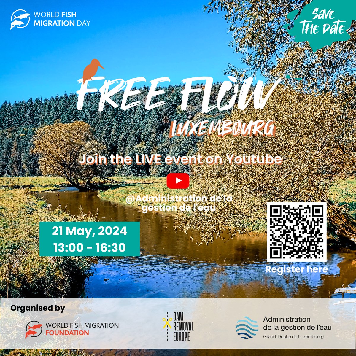 Kick off the #WFMD2024 week with #FreeFlow seminar in Luxembourg!🇱🇺 Join the LIVE seminar on the YouTube channel of the Administration de la gestion de l'eau - @environment_lu at 13:00-16:30 CEST ➡️ Learn more at damremoval.eu/seminar-freefl… #damremoval #riverrestoration