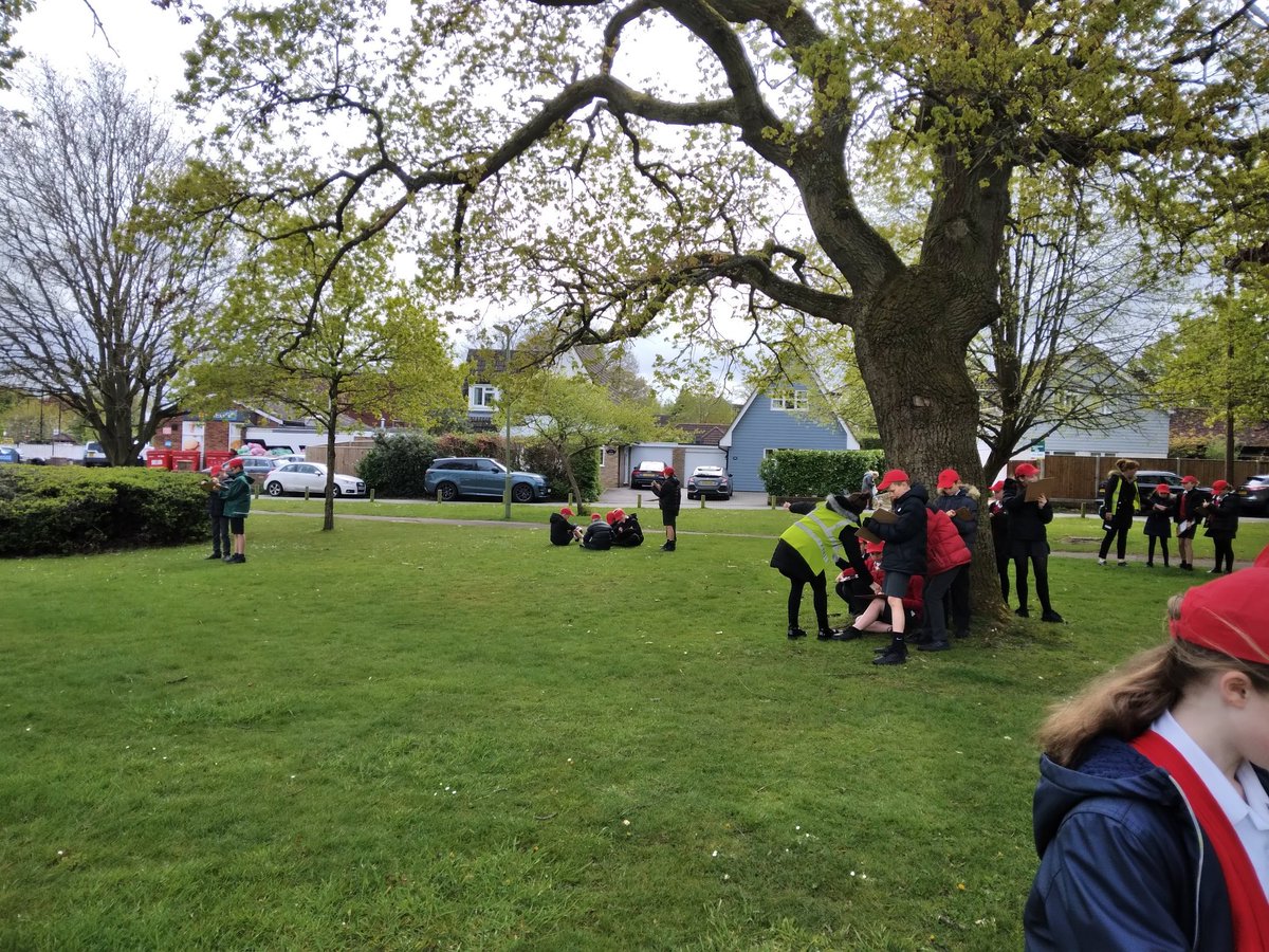 Westfields Junior tweet media