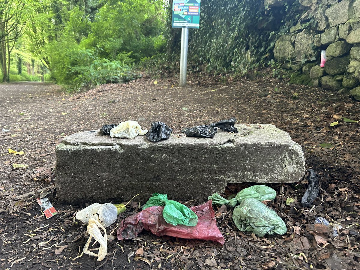 🚨 Calling on all dog owners: 1. Scoop the poop 🐶💩 2. Hold onto the bag until you find a bin. It's simple, really! Join the #2MinuteStreetClean challenge! 💪 #SDGsIrl #SpringClean24 #NationalSpringClean #Dublin @SavetheHellfire