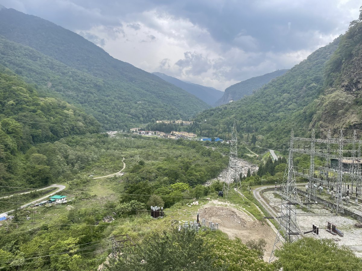 Mandakini Kaul tweet media