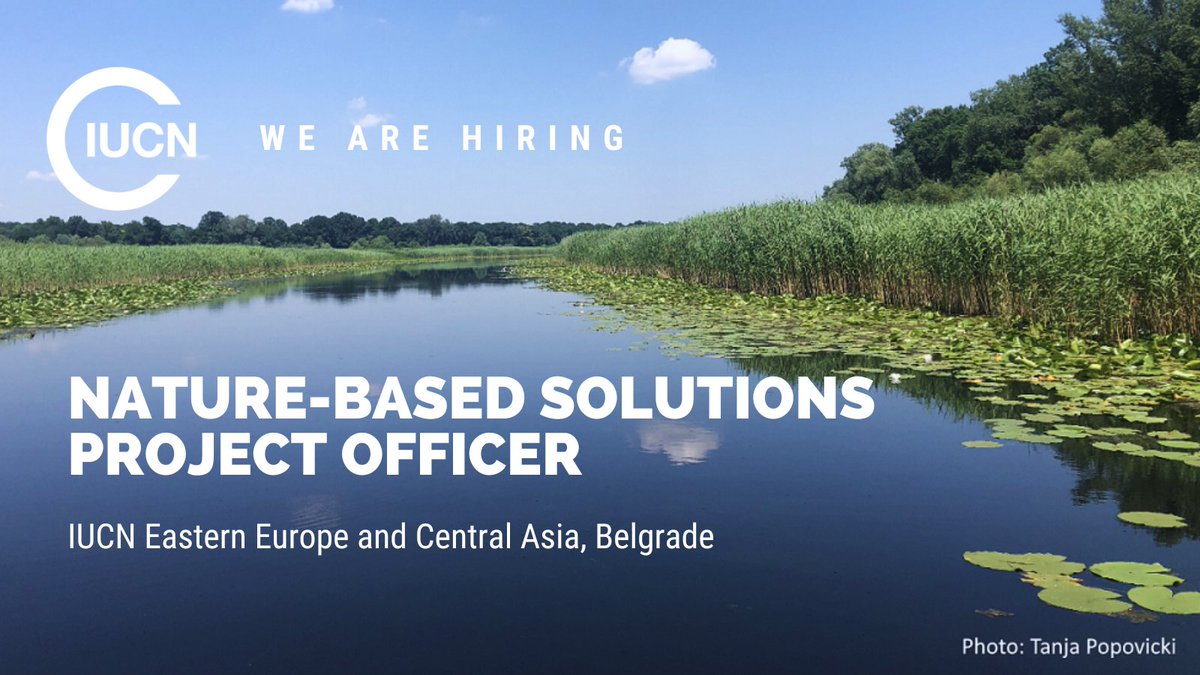 📢#JobAlert for Nature-based Solutions Project Officer! Are you passionate about #conservation and sustainable resource #management? We are looking for an experienced individual to join our team in implementing #NbS in #EasternEurope and #CentralAsia.🔗bit.ly/4dIUCeH
