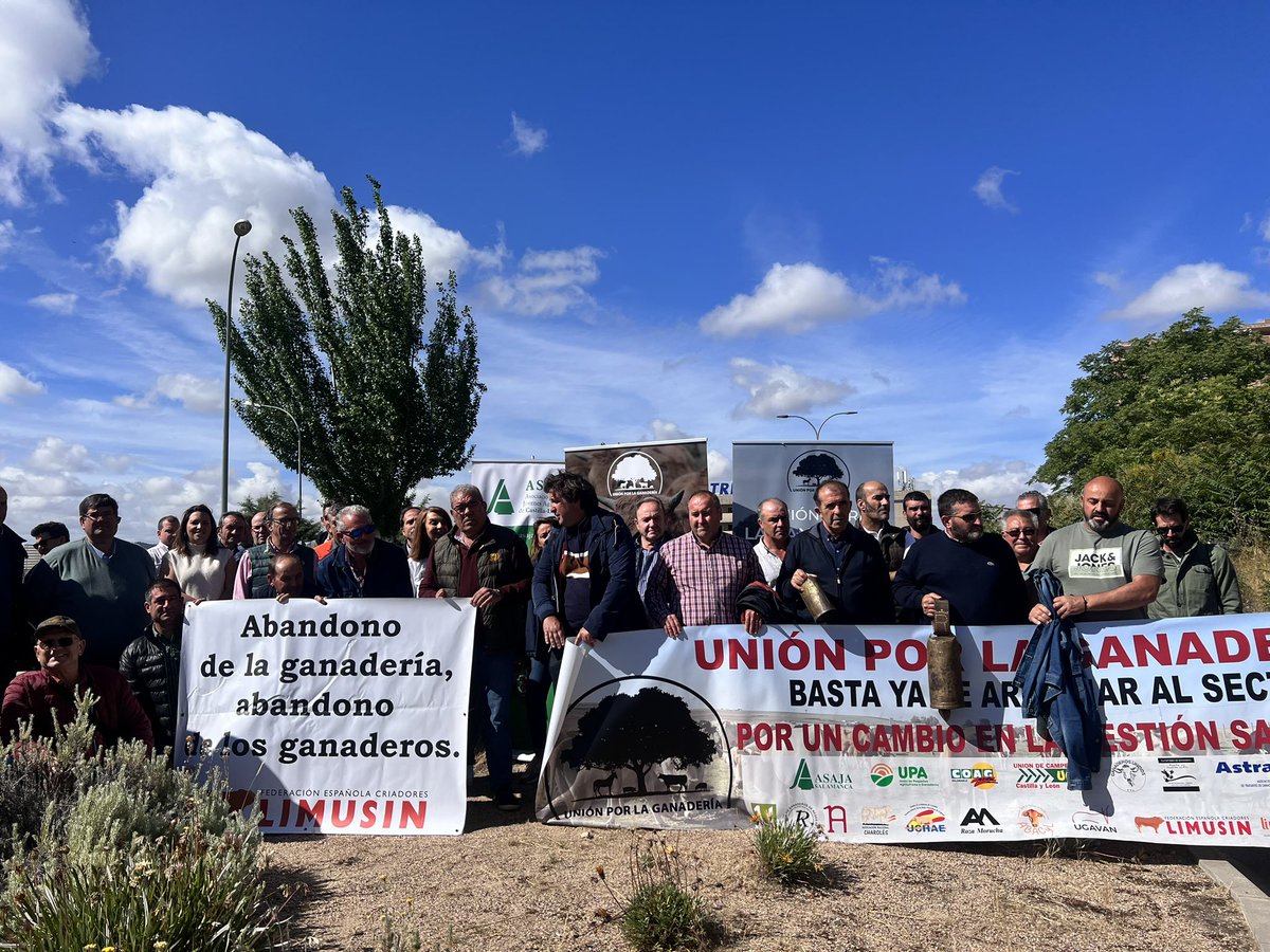 🐂🇪🇸 Los #ganaderos de toda España hoy exigen medidas que garanticen la supervivencia de un sector tan importante en el mantenimiento de la sostenibilidad en el medio rural. ✅

#unionporlaganaderia #UpG #ASAJA #defiendelonuestro #ganaderialagranolvidada #defiendelaganaderia