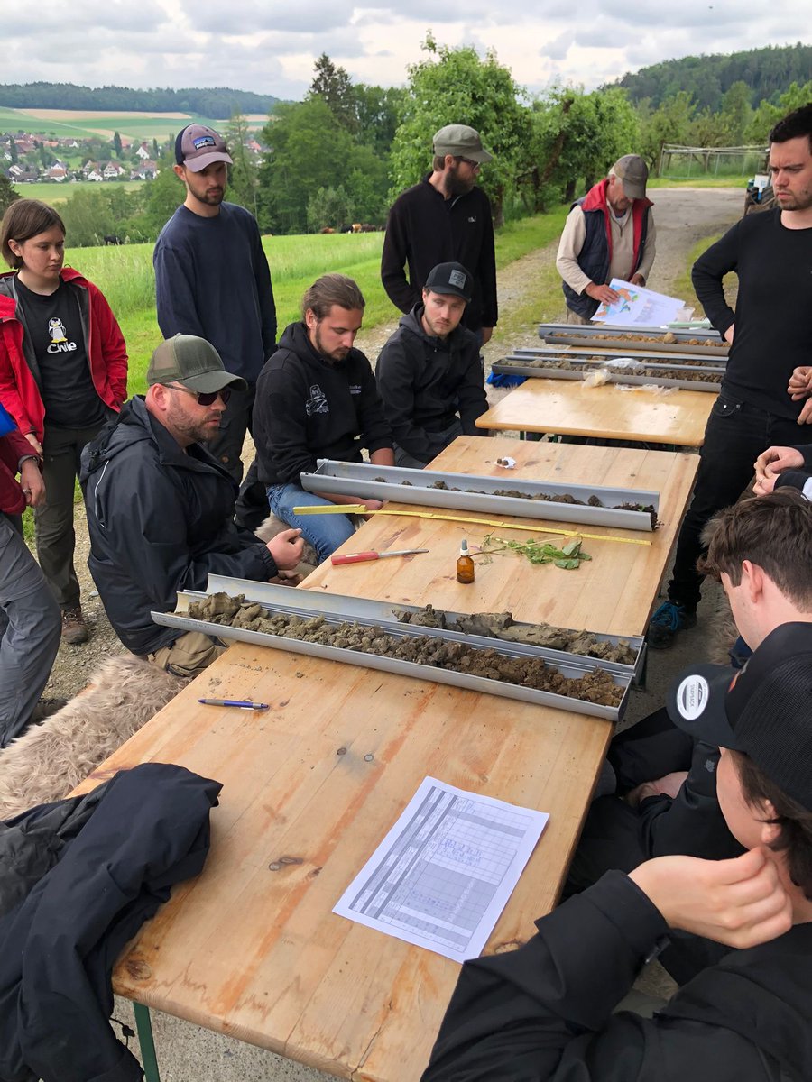 Had a bachelor student excursion on a farm yesterday focusing on the influence of geology, topography, vegetation and land use on #soil formation and properties. They took soil cores and described physicochemical soil properties in relation to site specific characteristics.