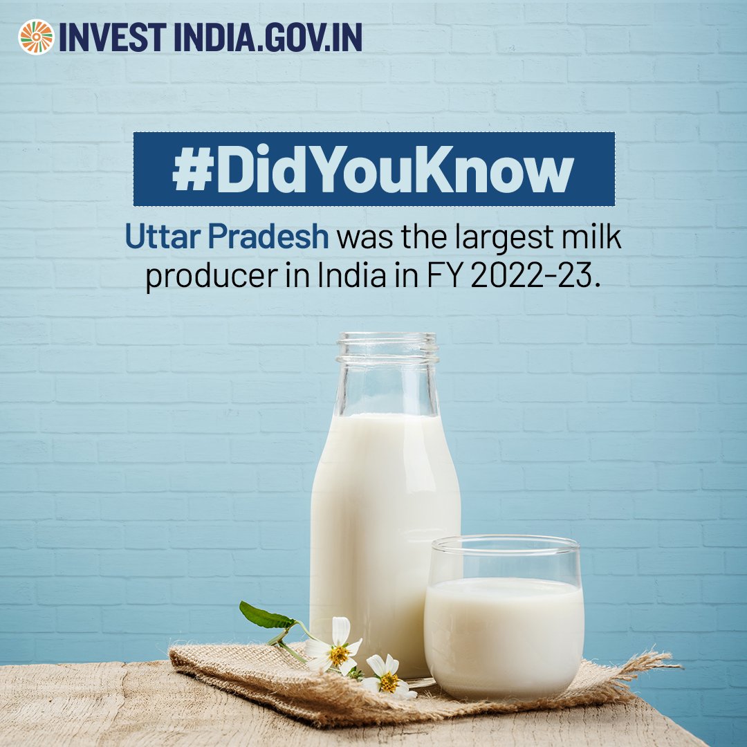 🐄🥛Some of the growth drivers of #UttarPradesh's dairy market are:

>Increasing #health awareness
>Rising demand for ready-to-eat dairy products
>Growing urban population
>Higher disposable income

Visit: bit.ly/II-uttar_prade…

#InvestInIndia #InvestInUttarPradesh #DidYouKnow