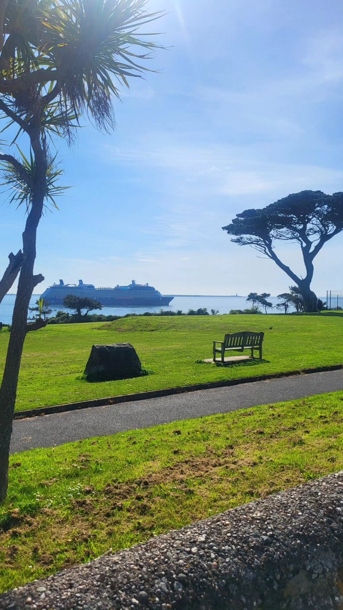 Gm from #dunmoreeast #waterford #Ireland