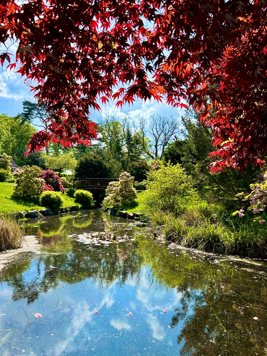The fabulous Japanese garden in Edinburgh #Edinburgh #thursdayvibes #Japanese #garden #photo #summer