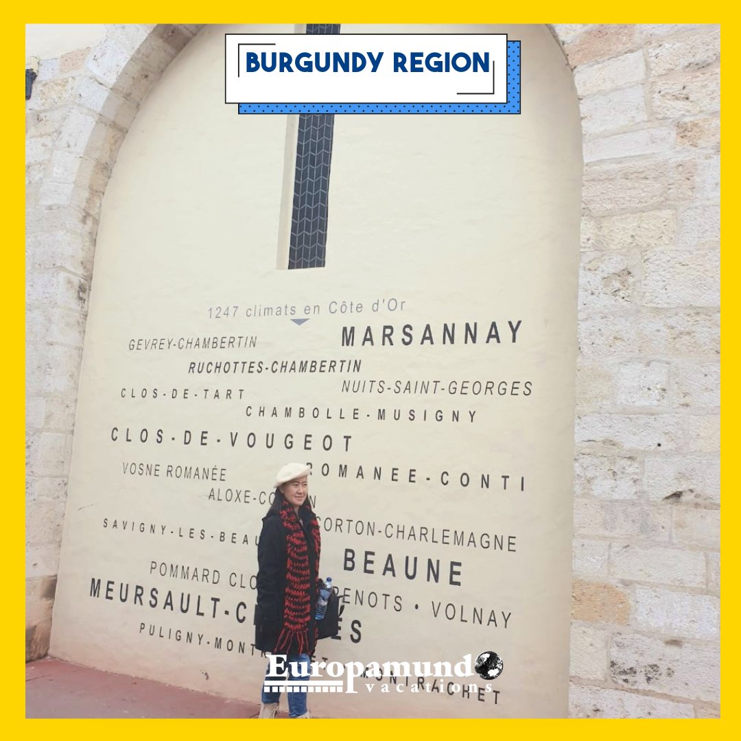 Burgundy with Europamundo! 🍷🌿 Uncover the essence of French elegance in this captivating region, renowned for its exquisite wines and picturesque landscapes. 🇫🇷✨ #EuropamundoTours #BurgundyAdventures #FranceTravel